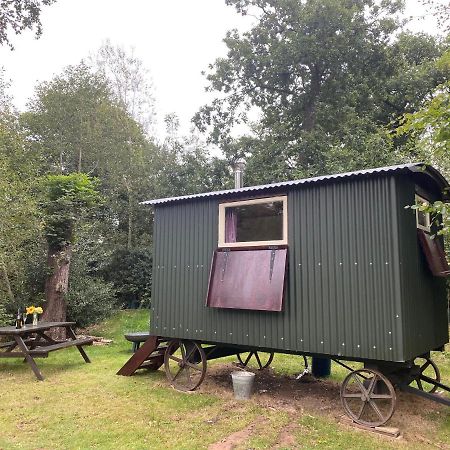 The Shepherd'S Hut - Wild Escapes Wrenbury Off Grid Glamping - Ages 12 And Over Baddiley エクステリア 写真