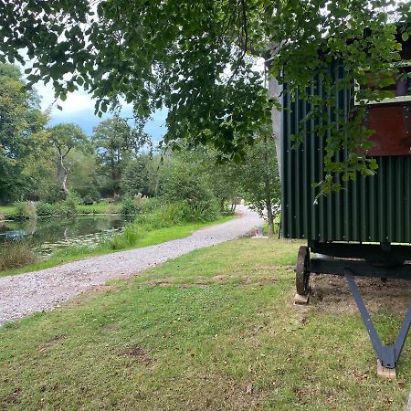 The Shepherd'S Hut - Wild Escapes Wrenbury Off Grid Glamping - Ages 12 And Over Baddiley エクステリア 写真