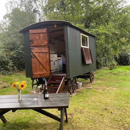 The Shepherd'S Hut - Wild Escapes Wrenbury Off Grid Glamping - Ages 12 And Over Baddiley エクステリア 写真