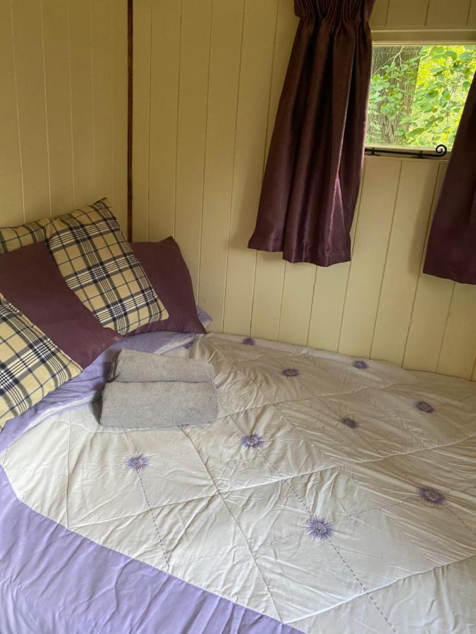 The Shepherd'S Hut - Wild Escapes Wrenbury Off Grid Glamping - Ages 12 And Over Baddiley エクステリア 写真